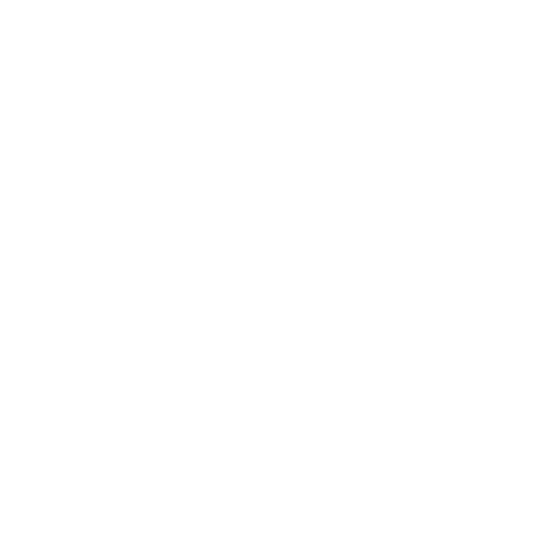 The Campus Consultant Logo